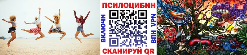 Псилоцибиновые грибы Psilocybe Нефтекумск